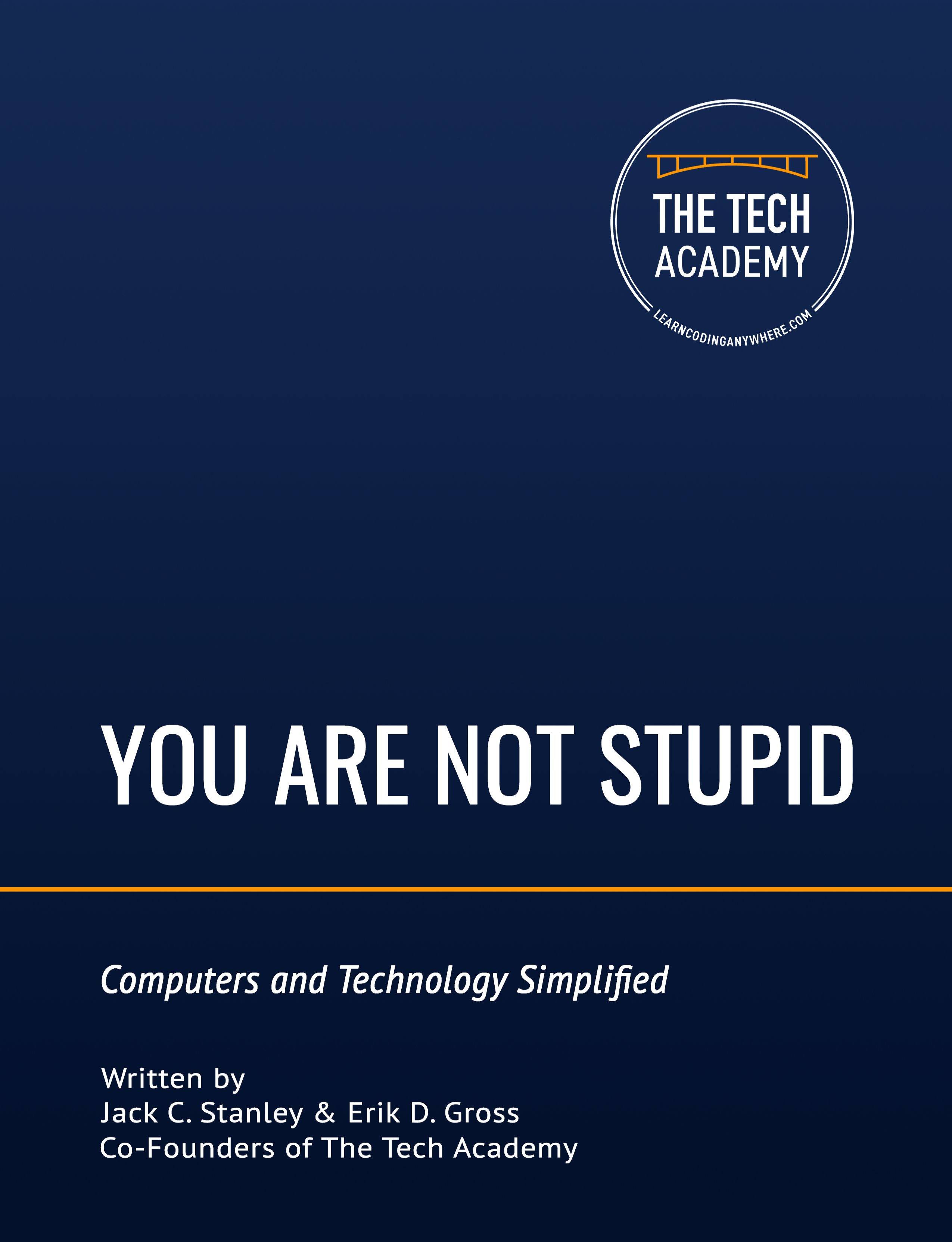 You Are Not Stupid